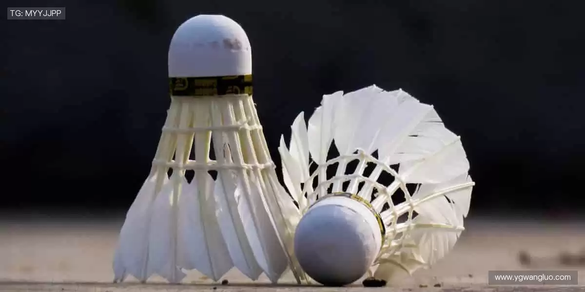 💻实时互动,与千万球迷共燃热血!💬