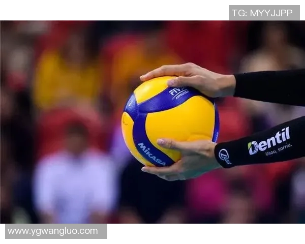 深入探讨杭州排球队比赛经验与表现的关键因素及其对未来发展的影响