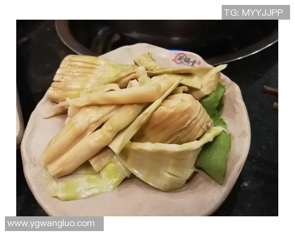 深度对话周磊篮球人生的启示与成长之路探讨 深度对话周磊篮球人生的启示与成长之路探讨