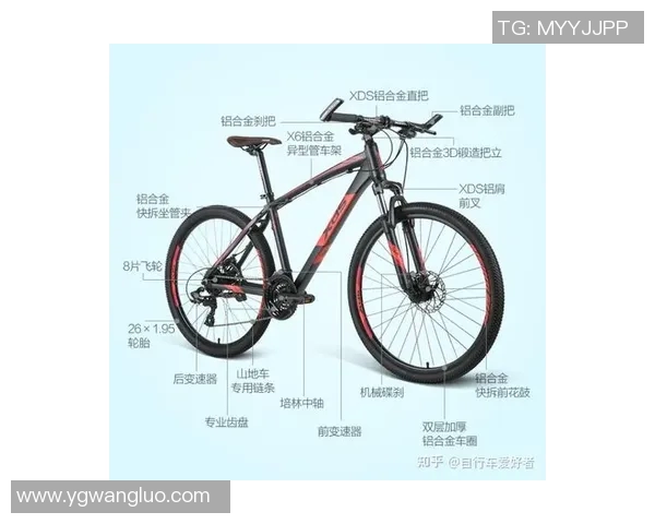 南京极限运动队引领最新极限运动潮流TOP10榜单解析