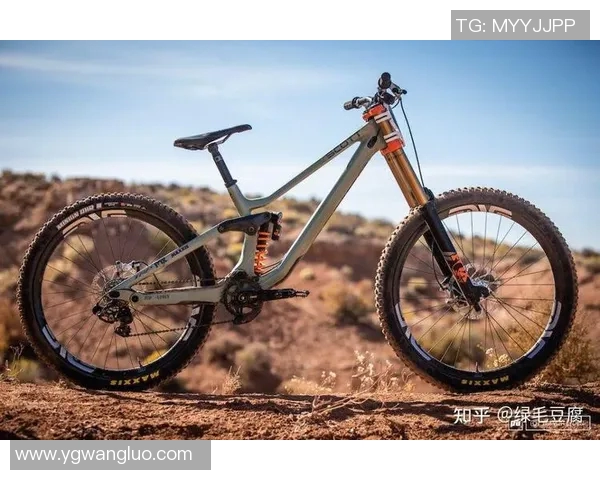 广州极限运动队与成都极限运动队赛后分析实力对比与发展潜力探讨