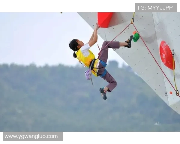 杭州攀岩队在全国攀岩战术排行榜中荣获第六名的佳绩分析