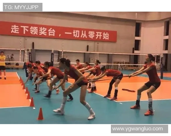 深圳排球队逆袭之旅揭秘：从低谷到巅峰的奋斗与荣耀