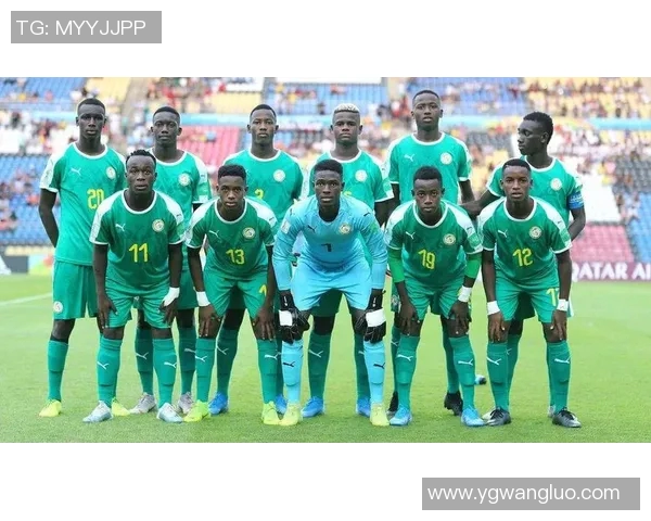 加蓬足球明星排行榜揭晓谁是非洲绿茵场上的闪耀之星